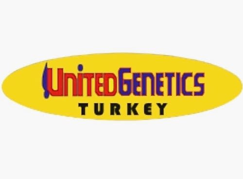 Yeniçözüm Referans