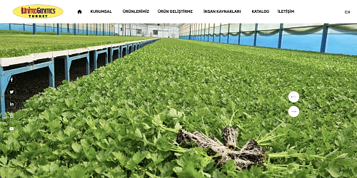 United Genetics